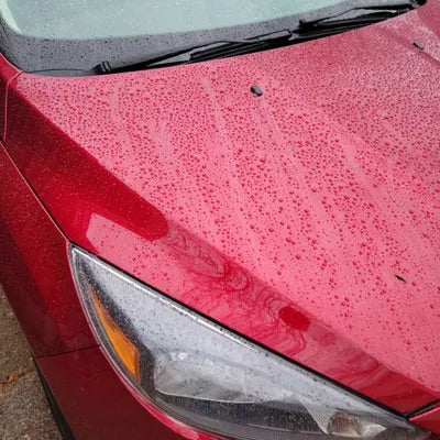 <p><strong>مُلّاك حقيقيون . نتائج حقيقية</strong></p>